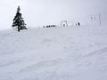 IMG_0086.jpg