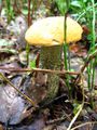 IMG_0149.JPG