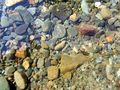 Picture_251.JPG