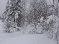 img_0005.jpg