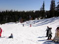 img_0043.jpg