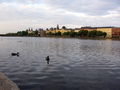 IMG_0076.jpg