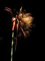 img_0197.jpg