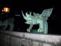 IMG_2100.jpg