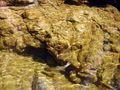Picture_437.JPG
