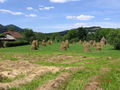 picture 045.jpg