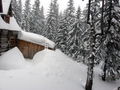 3-й день зранку. За ніч намело купу снігу.