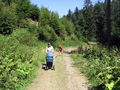 IMG_1260.jpg