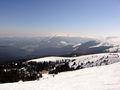img_0042.jpg